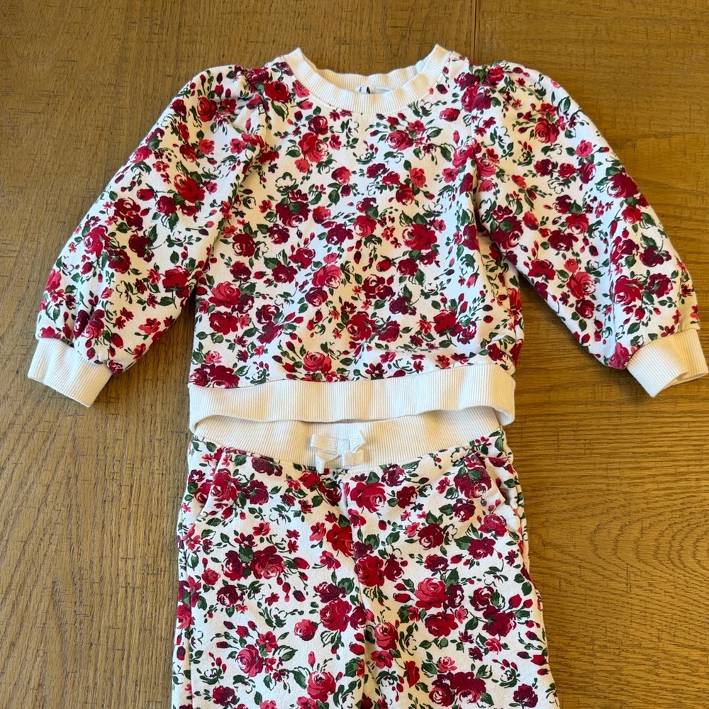 2T Janie & Jack Girls Rose Sweatshirt & Jogger Set EUC